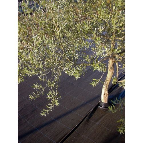 Malla antihierba 130gr/m2